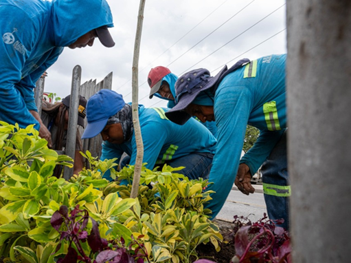 Municipio impulsa reconversión verde en corredores viales estratégicos del sur de la urbe
