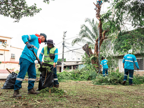 Avanza el trabajo preventivo del arbolado urbano en parques de Sauces 5